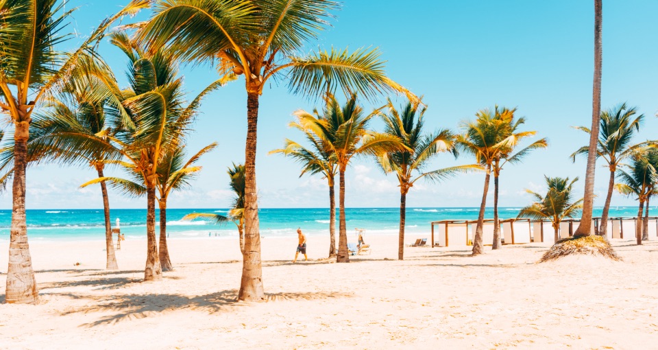 Palm trees on a white-sand beach